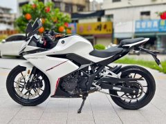 Kayo 250RR Thornbird - фото 3