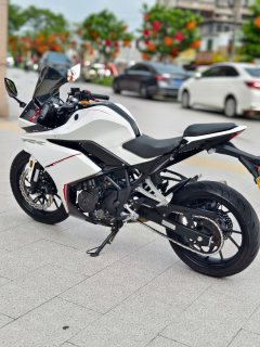 Kayo 250RR Thornbird - фото 4