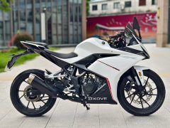 Kayo 250RR Thornbird - фото 6