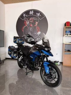 Triumph Tiger 850 900 cc - фото 7