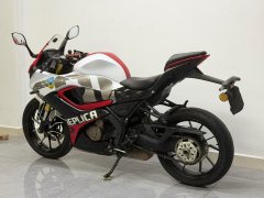 QJMOTOR SRK 250 - фото 3