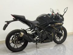 Kayo 250RR Thornbird - фото 6
