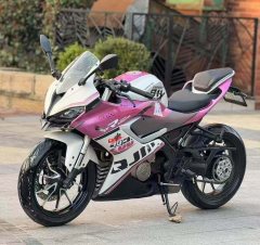 QJMOTOR 250 - фото 3