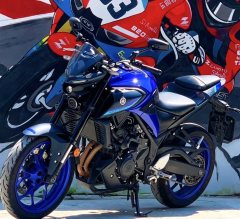 Yamaha MT-03 320 cc - фото 5