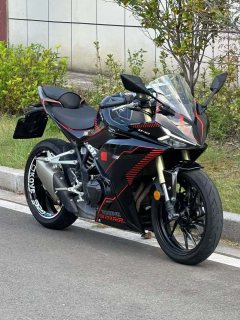 Kayo 321RR 320 cc - фото 4