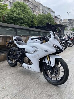 QJMOTOR SRK 250 - фото 1