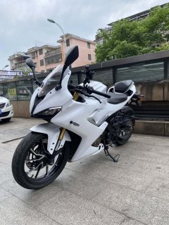 QJMOTOR SRK 250 - фото 3