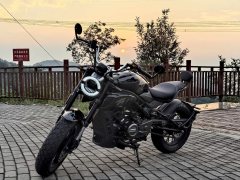 Cyclone PUNK 190 cc - фото 3