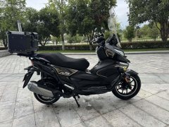 Cyclone RT2 250 cc - фото 4
