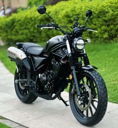 Honda CL300 - фото 1