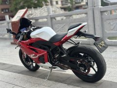 Kayo 450RR - фото 6