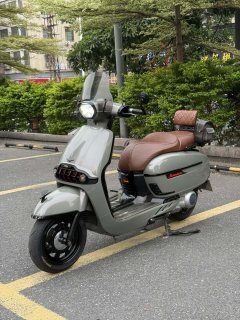 Weiduoliya Sixties 300i - фото 3