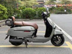 Weiduoliya Sixties 300i - фото 4
