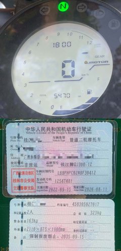 QJMOTOR Flash 300 - фото 2