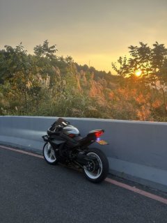 CFMOTO 450SR - фото 3