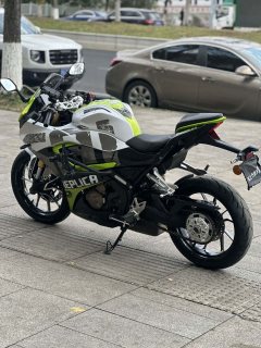 QJMOTOR SRK 250 - фото 4