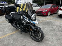 Haojue Suzuki DL250 - фото 6