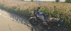 Sundiro Honda CBF190TR - фото 5