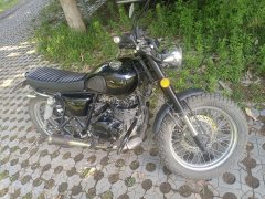 Qingqi U-Knight Bigfoot Crawler 250 cc - фото 4