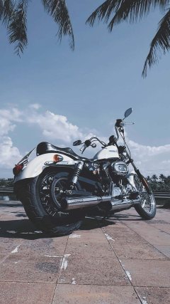 Harley-Davidson 1200 Custom - фото 1