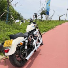 Harley-Davidson 1200 Custom - фото 2