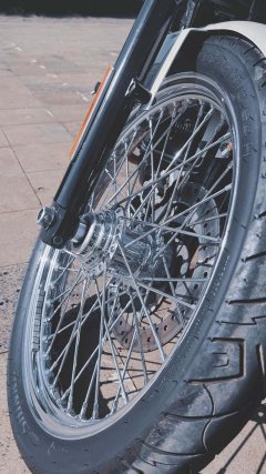 Harley-Davidson 1200 Custom - фото 4