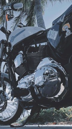 Harley-Davidson 1200 Custom - фото 6