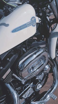Harley-Davidson 1200 Custom - фото 7