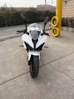 QJMOTOR SRK 250 - фото 1