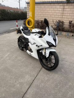 QJMOTOR SRK 250 - фото 2