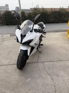 QJMOTOR SRK 250 - фото 4