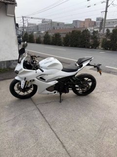 QJMOTOR SRK 250 - фото 5