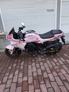 QJMOTOR 150 cc - фото 5