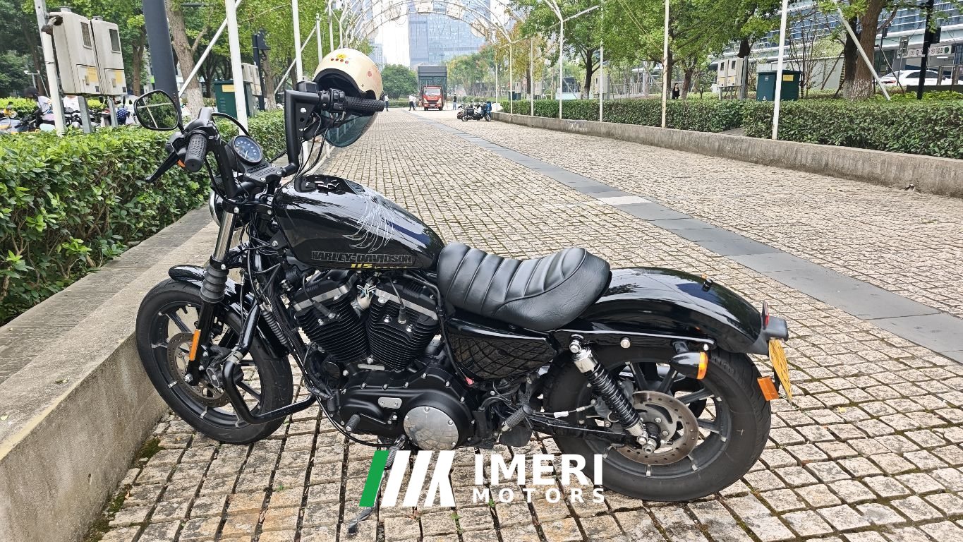 2020 Harley-Davidson Iron883 Tough Guy