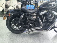 Harley-Davidson Forty-Eight athlete 1200 cc - фото 2