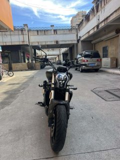 Benelli 502C 500 cc - фото 5