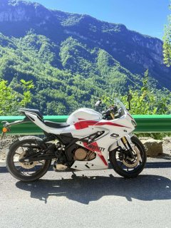 QJMOTOR SRK 250 - фото 1