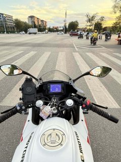 QJMOTOR SRK 250 - фото 2