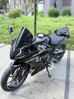 Kayo 250RR - фото 5