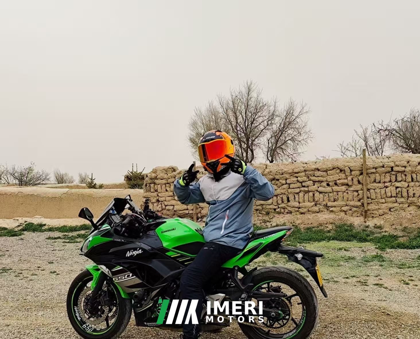 2019 Kawasaki Ninja 650