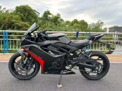 Kayo 450RR - фото 1