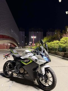 QJMOTOR SRK 250 - фото 1
