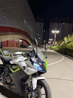 QJMOTOR SRK 250 - фото 2
