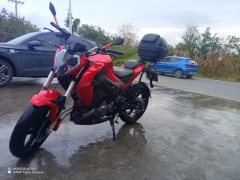 Benelli Xunlong BN150S - фото 2