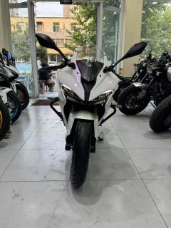 QJMOTOR SRK 250 - фото 2