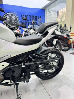 QJMOTOR SRK 250 - фото 5