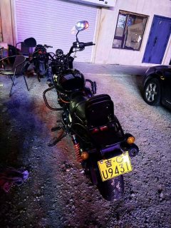 Harley-Davidson STREET ROD 750 cc - фото 1