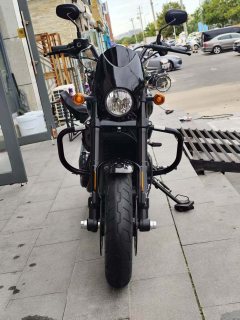 Harley-Davidson STREET ROD 750 cc - фото 3