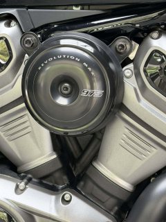 Harley-Davidson Nightster 975 cc - фото 4