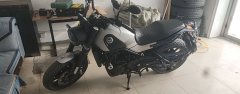 Benelli Lion Cub Leoncino 500 - фото 1